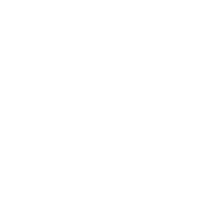 download 5 Point Plan PDF